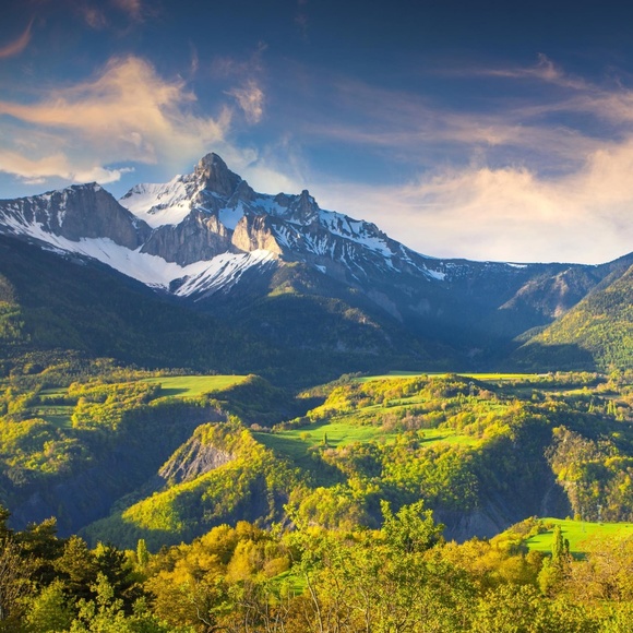 Meet your Posher, Blue Jazmine - Picture 1 of 1